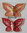 444 Brief Schmetterlinge