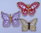 578 Brief kleine Schmetterlinge