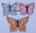 579 Brief kleine Schmetterlinge