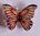 109 Einhänger Schmetterling 5